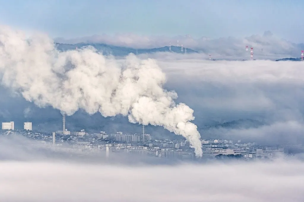 découvrez la capture du carbone, une technologie innovante visant à réduire les émissions de gaz à effet de serre. explorez ses méthodes, ses avantages et son rôle clé dans la lutte contre le changement climatique.