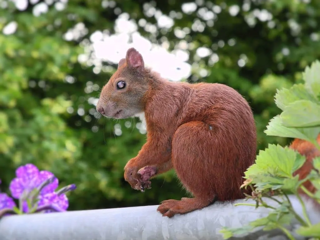 découvrez paypal, la solution de paiement en ligne sécurisée et rapide, permettant d'effectuer des transactions facilement et de gérer votre argent en toute simplicité. inscrivez-vous dès maintenant pour bénéficier d’un service pratique et intuitif.