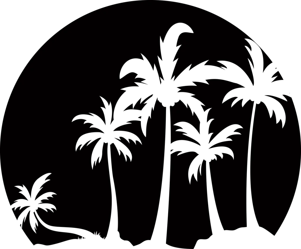 Entdecken Sie Shopify, die ideale E-Commerce-Plattform zum einfachen Erstellen und Verwalten Ihres Online-Shops. Starten Sie Ihr Unternehmen mit leistungsstarken Tools, anpassbaren Designs und Support rund um die Uhr.