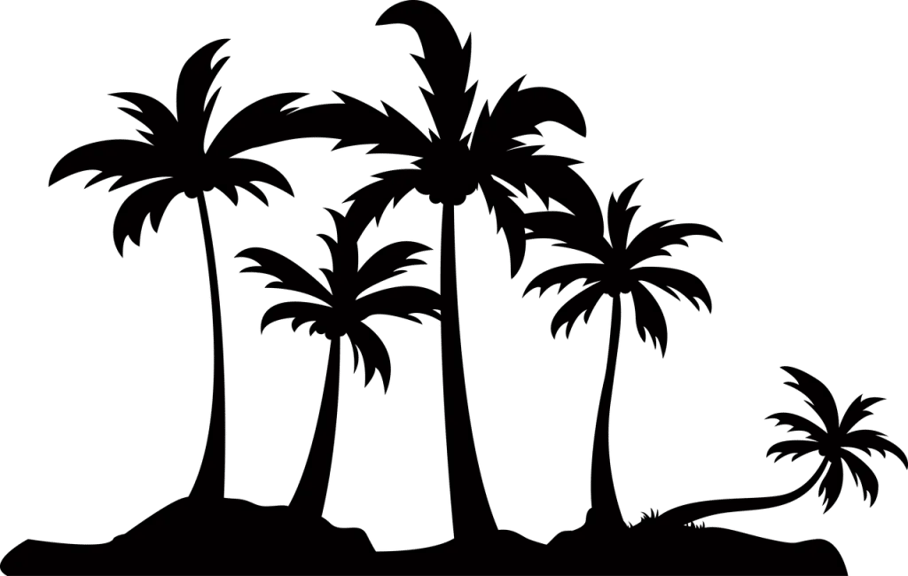 découvrez shopify, la plateforme e-commerce révolutionnaire qui permet de créer facilement votre boutique en ligne. avec des outils puissants et des fonctionnalités personnalisables, lancez votre projet de vente en quelques clics et atteignez vos clients partout dans le monde.