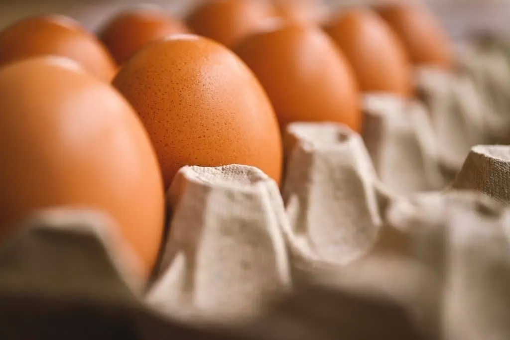 découvrez l'art de la cuisine collective : une expérience culinaire conviviale où amis et familles se rassemblent pour préparer des plats savoureux, échanger des recettes et créer des souvenirs inoubliables autour de la table.