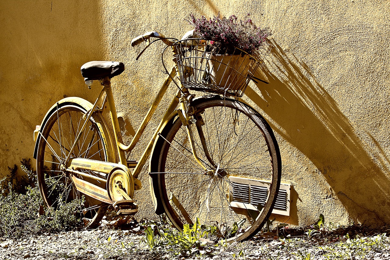 découvrez les opportunités de carrière passionnantes dans le secteur du vélo. que vous soyez mécanicien, designer ou passionné de l'environnement, trouvez le job idéal pour allier profession et passion.