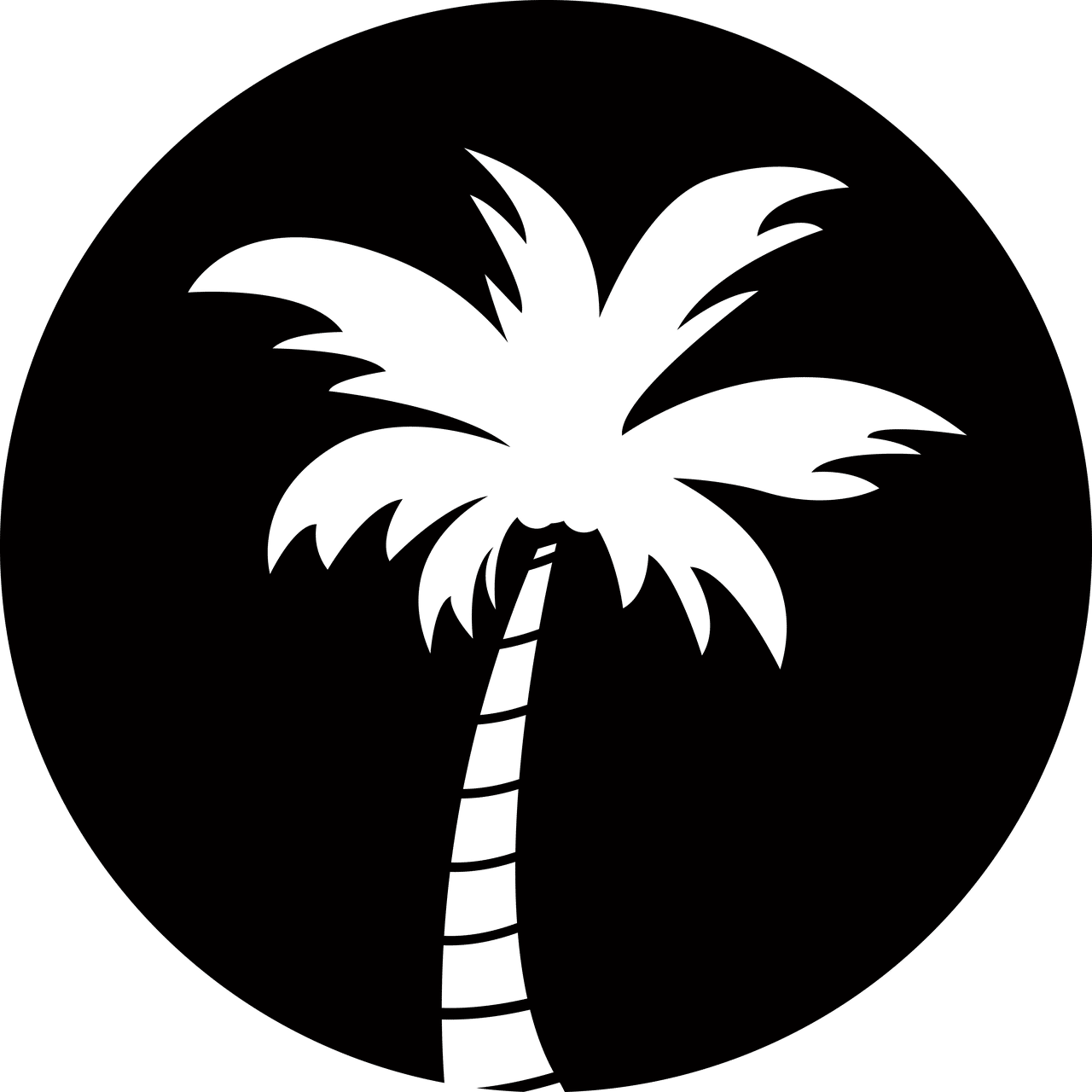 Scopri Shopify, la piattaforma ideale per creare e gestire il tuo negozio online. Sfrutta potenti strumenti per personalizzare il tuo sito, gestire i tuoi prodotti e ottimizzare il tuo marketing. Avvia oggi stesso la tua attività con Shopify!